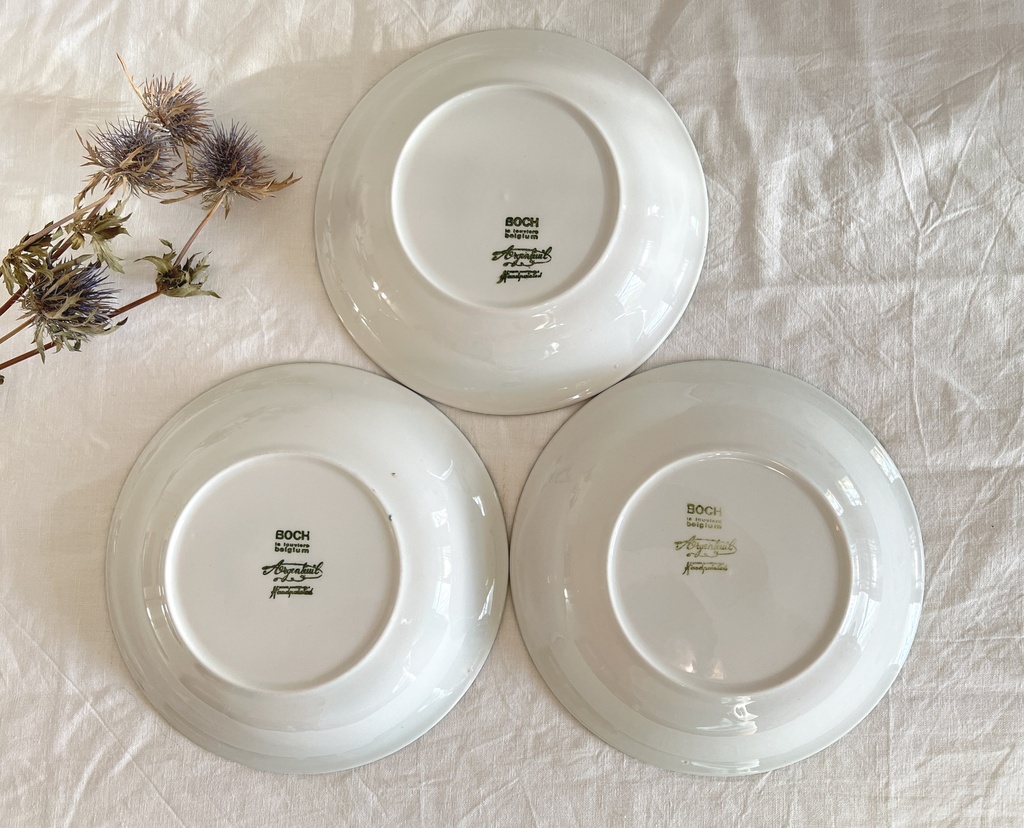 Lot de 6 assiettes creuses Boch Argenteuil
