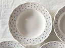 Lot de 6 assiettes creuses Boch Points bleus