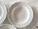 Lot de 6 assiettes creuses Boch Points bleus