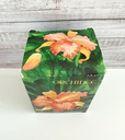 Parfum Yves Rocher Orchidée