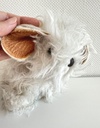 Peluche Puppy chiot dans sa niche - Fisher-Price 1977