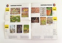 Puzzle Heye Mordillo Tornado