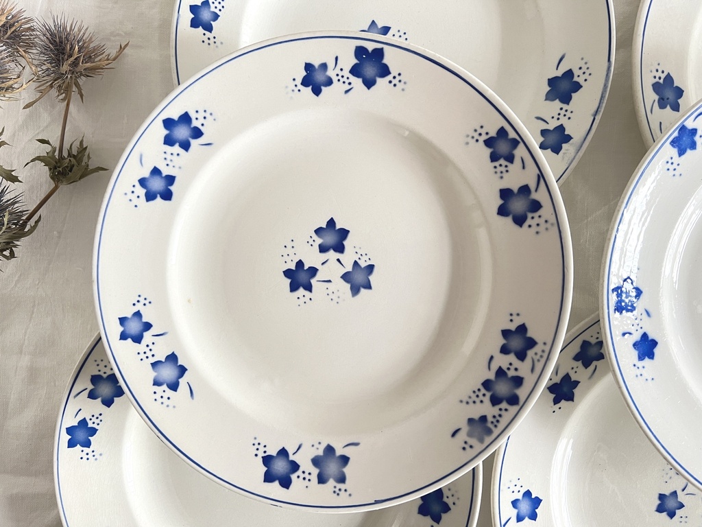 Lot de 6 assiettes plates Boch Mercure bleu