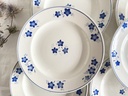Lot de 6 assiettes plates Boch Mercure bleu