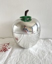 Pomme à glaçons argentée