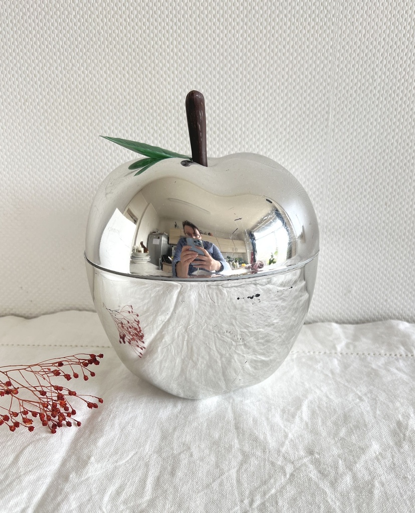 Pomme à glaçons argentée