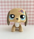 Figurine jumbo Teckel (Dachsund) Littlest Pet Shop