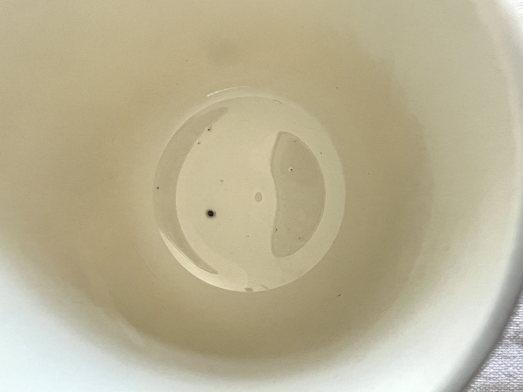 Ensemble de 4 petites tasses et 4 sous-tasses Villeroy & Boch Bouquet