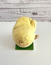 Figurine Jim Shore Schroeder Piano Prodigy - Peanuts 2015