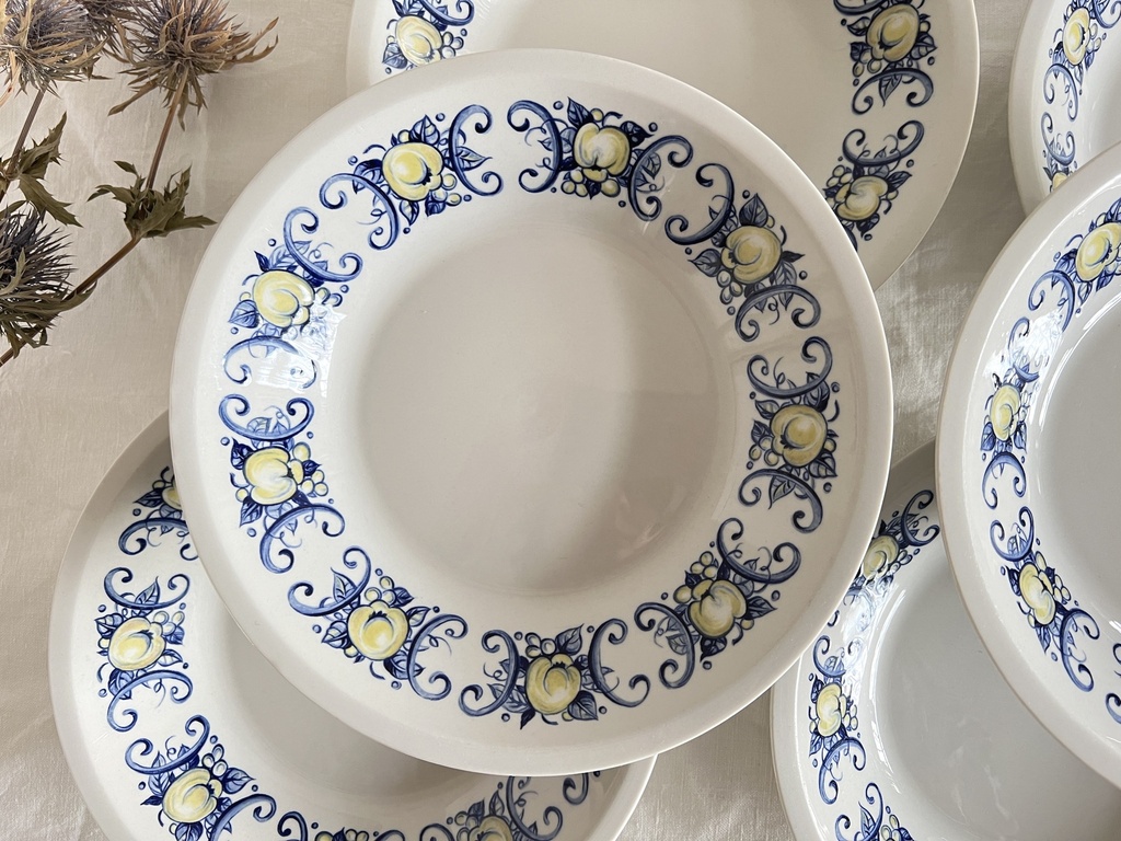 Lot de 6 assiettes creuses Villeroy & Boch Cadiz