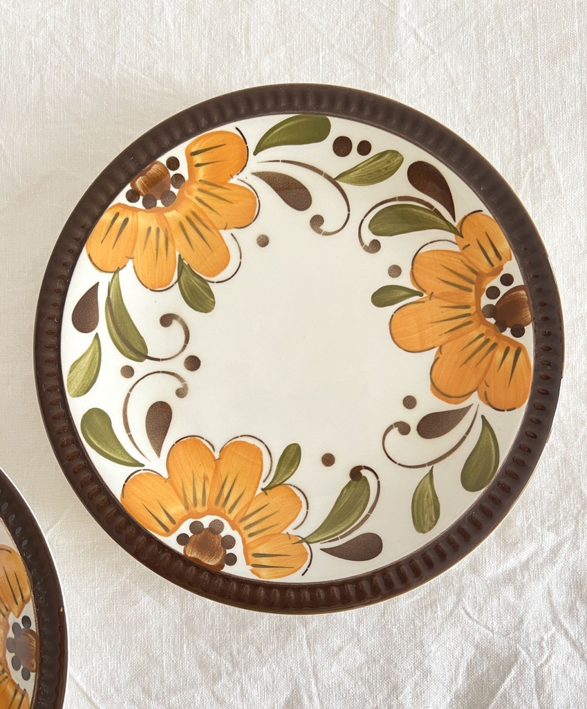 Lot de 2 assiettes à dessert Boch Delta Paradiso