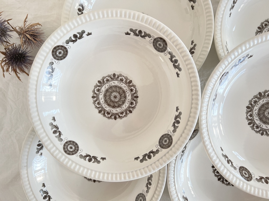 Lot de 6 assiettes creuses Boch Delta Murielle