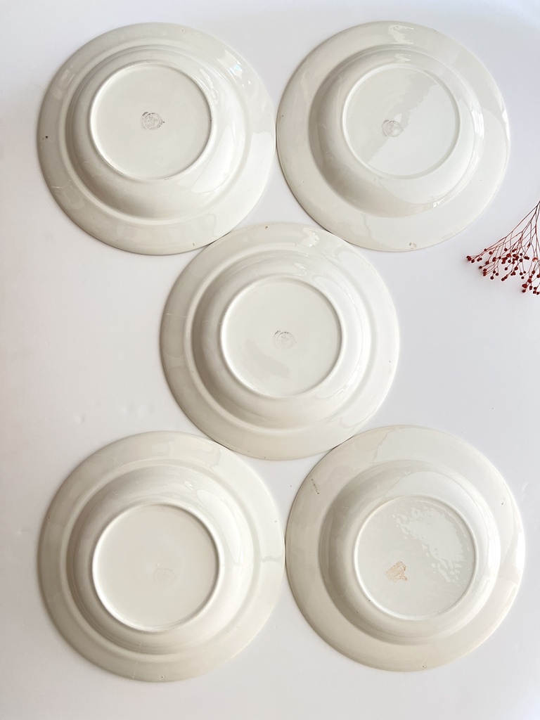 Lot de 5 assiettes creuses Petrus Regout Boudewijn