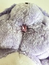 Peluche Bisounours Cousins Raton-laveur Toumalin - 1984