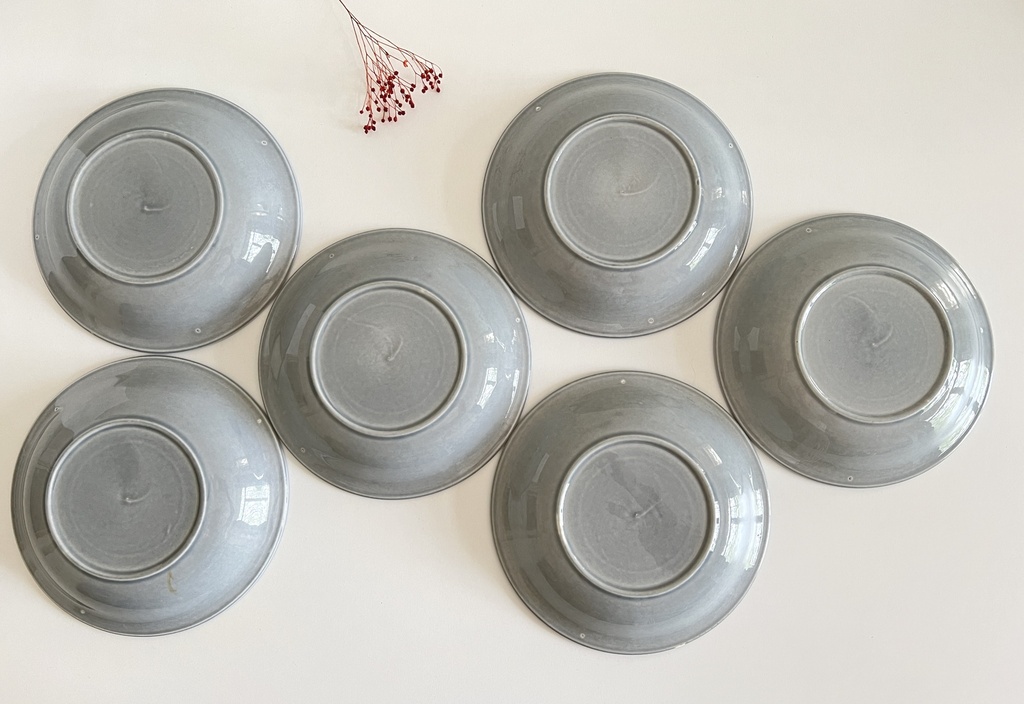 Lot de 6 assiettes creuses Boch Nevada