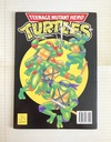Livre à colorier Tortues Ninja