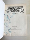 Livre à colorier Tortues Ninja