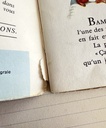 Livre-disque 33 tours 1/3 Bambi - Walt Disney