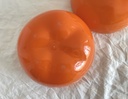 Pomme à glaçons orange