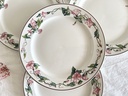 Lot de 4 assiettes plates Villeroy & Boch Palermo