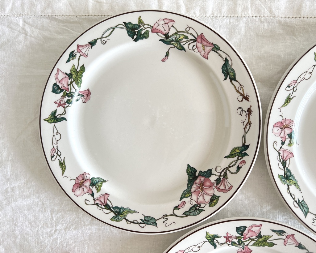 Lot de 4 assiettes plates Villeroy & Boch Palermo