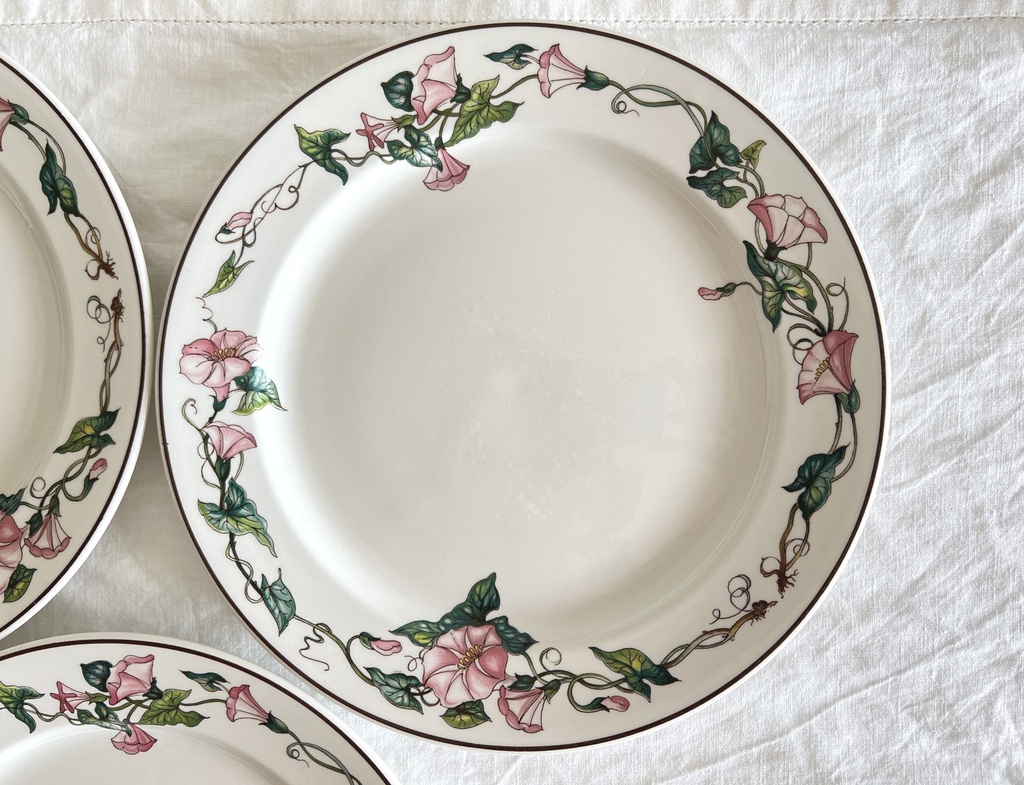 Lot de 4 assiettes plates Villeroy & Boch Palermo