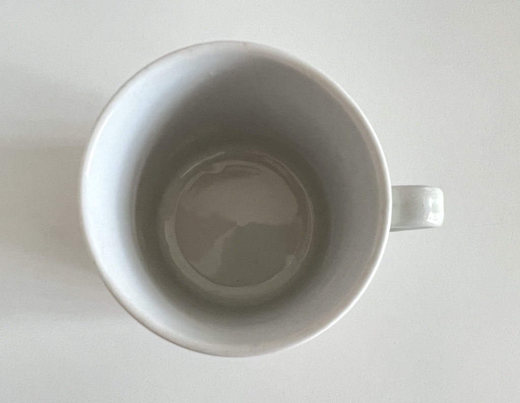 Lot de 2 tasses fleuries dans les tons orange Bavaria