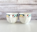 Lot de 2 tasses et sous-tasses Villeroy & Boch Indian Look
