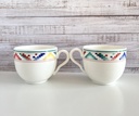 Lot de 2 tasses et sous-tasses Villeroy & Boch Indian Look