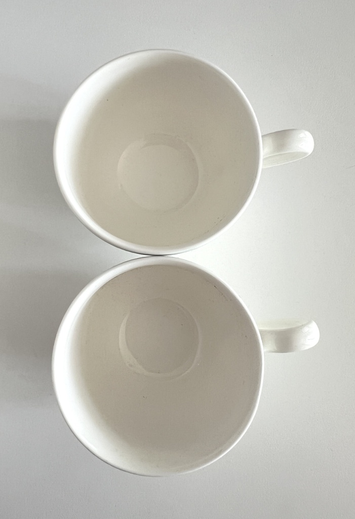 Lot de 2 tasses et sous-tasses Villeroy & Boch Indian Look