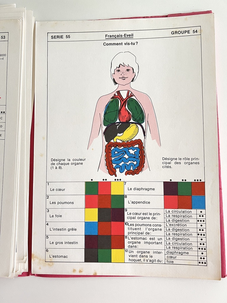 Livret Lexidata Français-éveil pour enfants de 10 à 11 ans