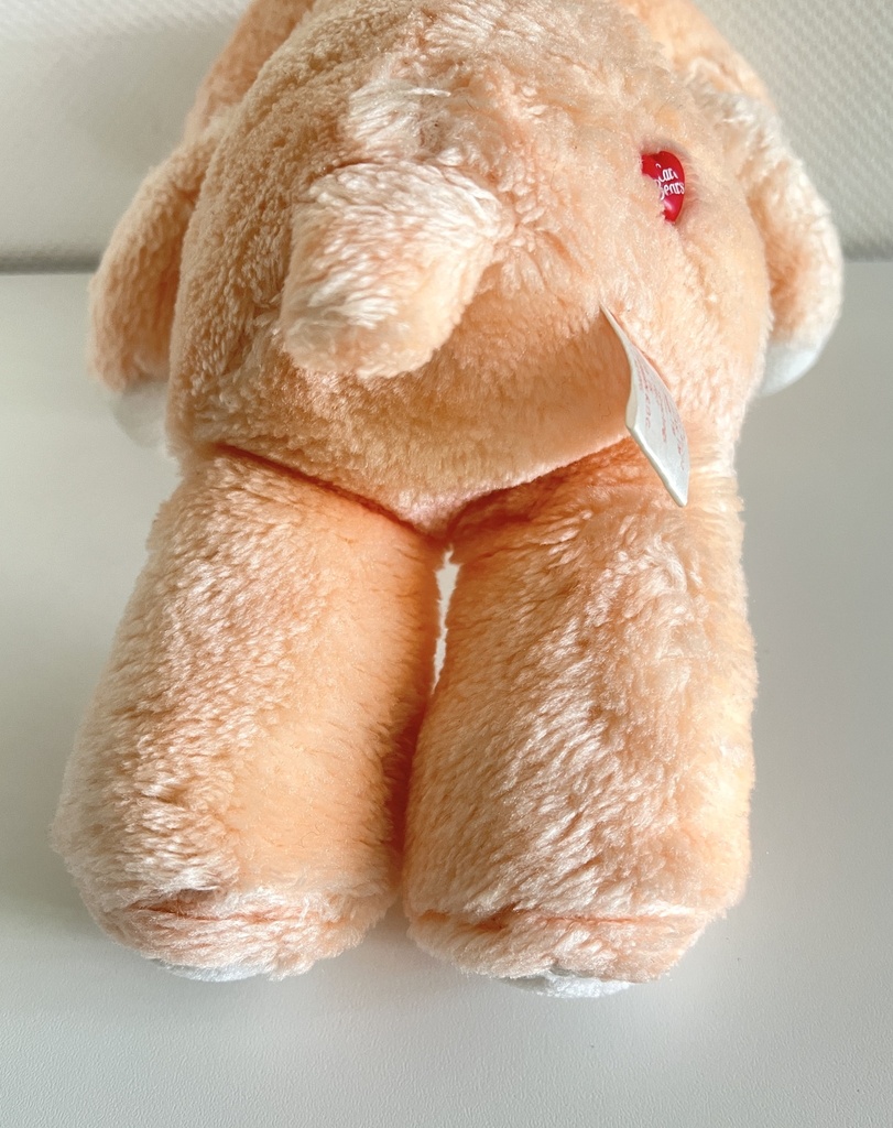 Peluche Bisounours Groscopain - 1983