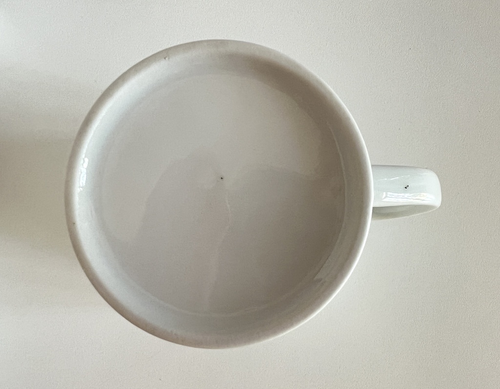 Tasse Snoopy I think I'm allergic to mornings!