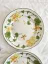Lot de 2 assiettes à dessert Villeroy & Boch Geranium