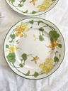 Lot de 2 assiettes à dessert Villeroy & Boch Geranium