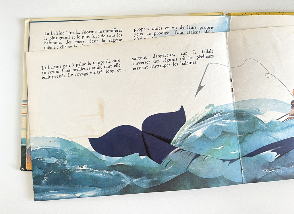 Livre Irvic et les poissons