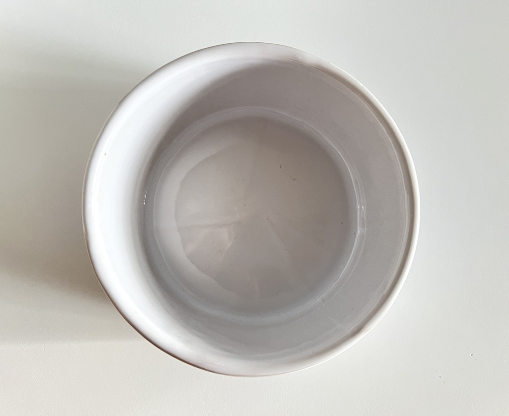 Bol Jurassic Park - Detry