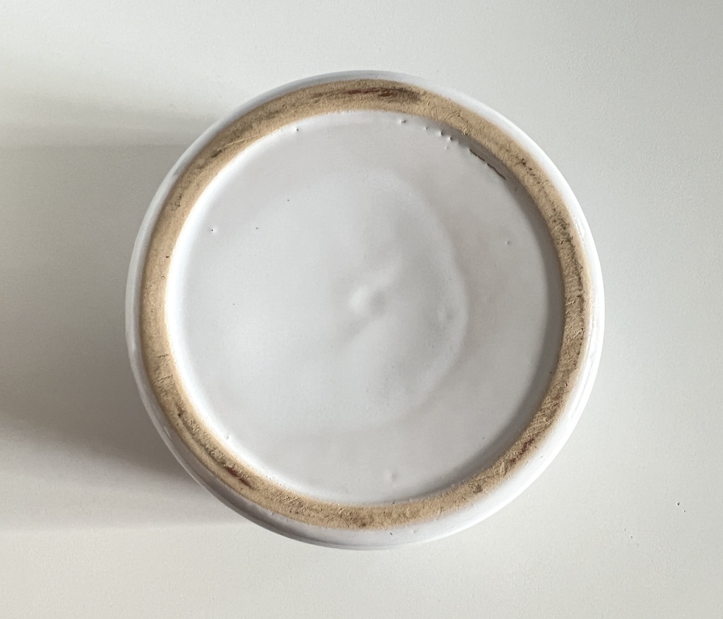 Bol Jurassic Park - Detry