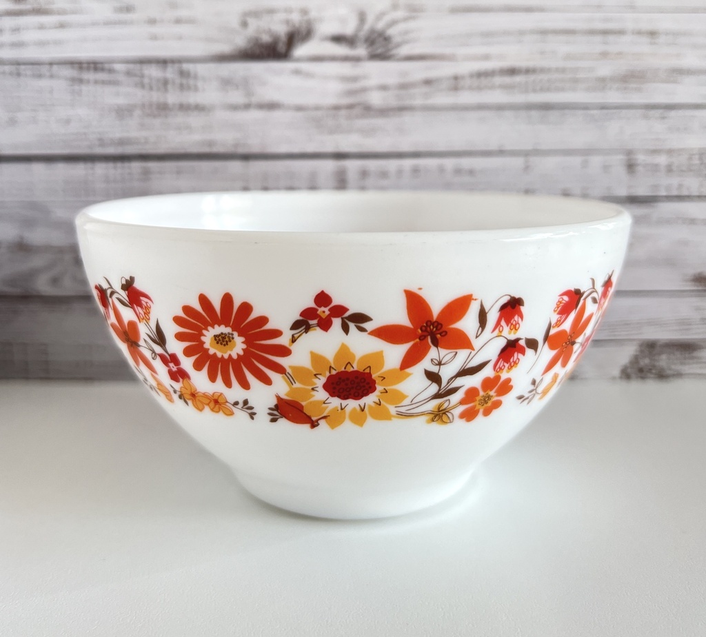 Lot de 2 bols Arcopal Flore