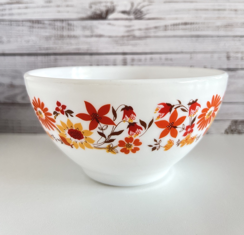 Lot de 2 bols Arcopal Flore