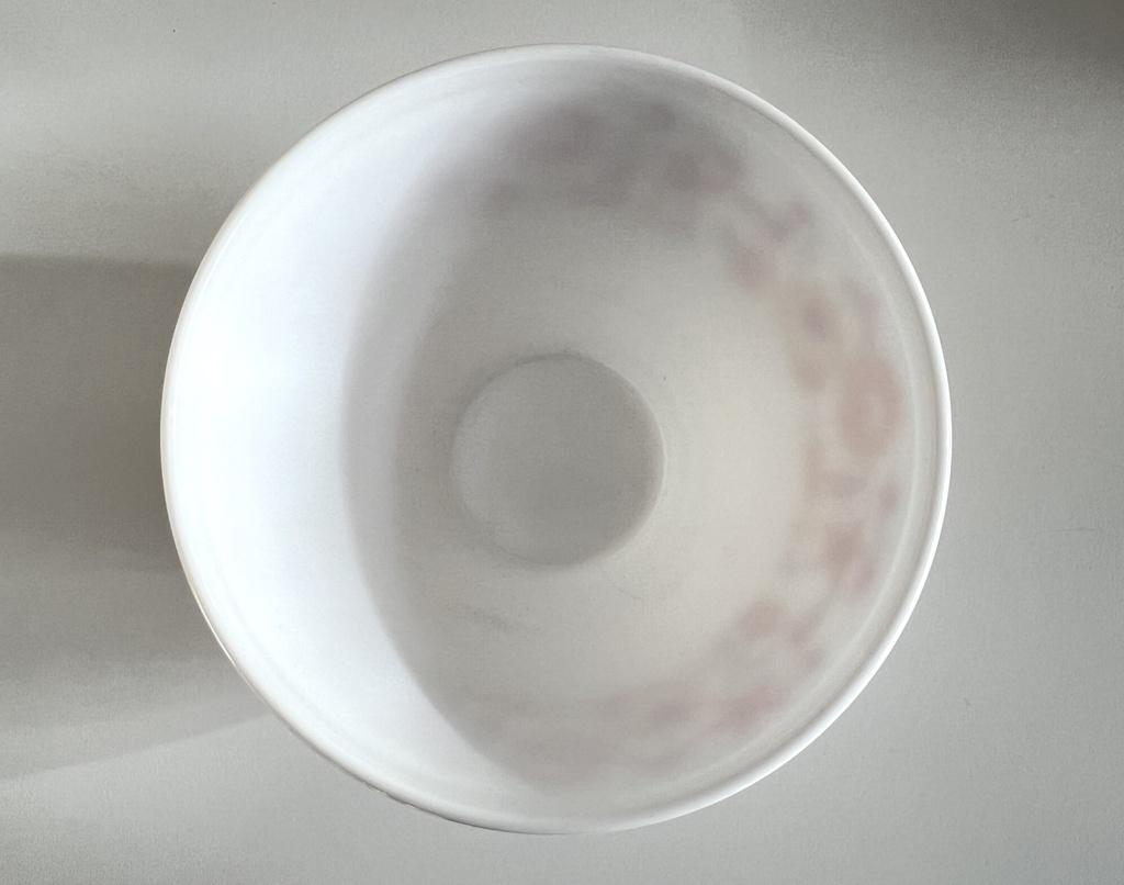 Lot de 2 bols Arcopal Flore