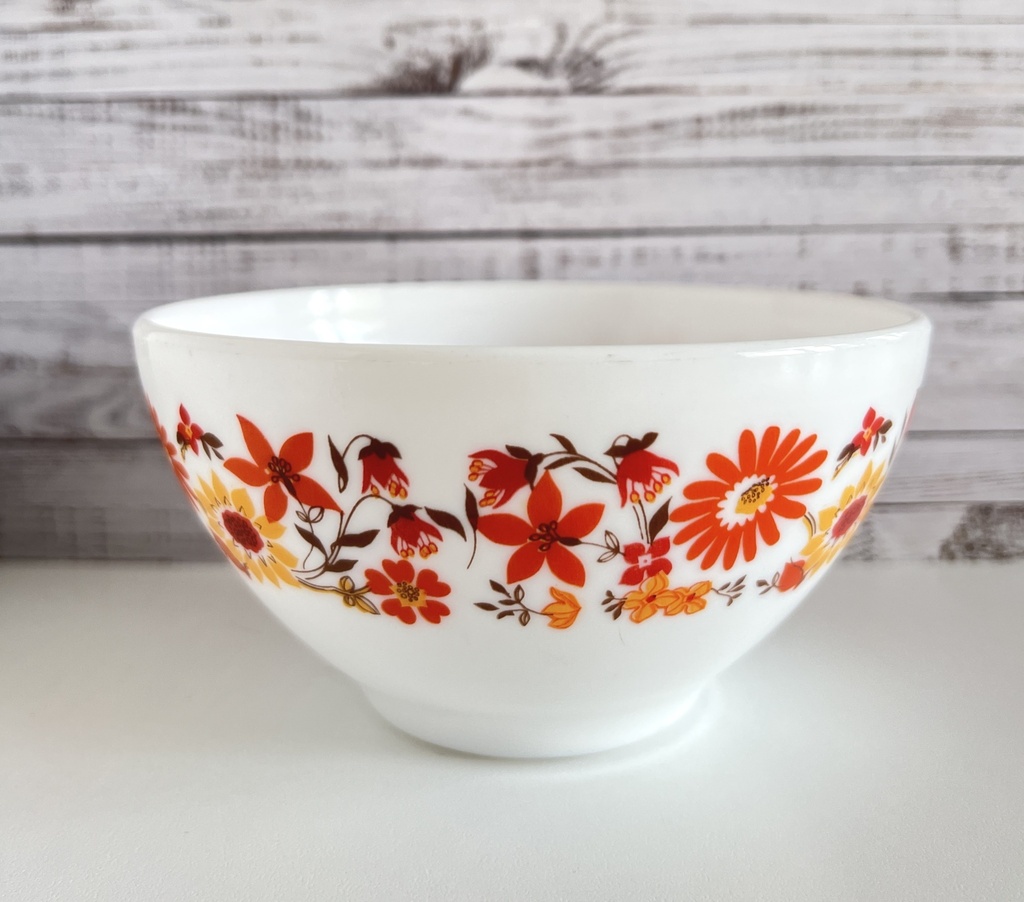 Lot de 2 bols Arcopal Flore