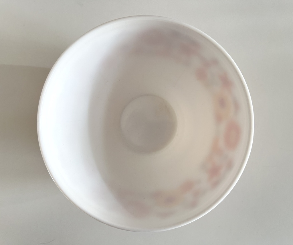 Lot de 2 bols Arcopal Flore