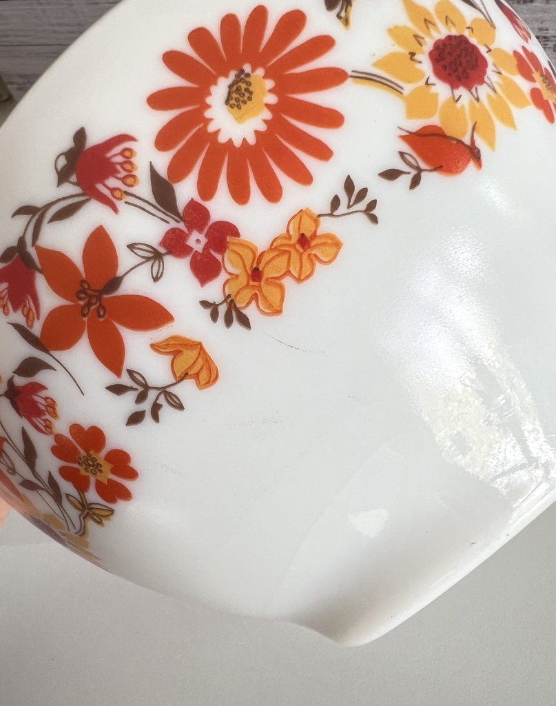 Lot de 2 bols Arcopal Flore