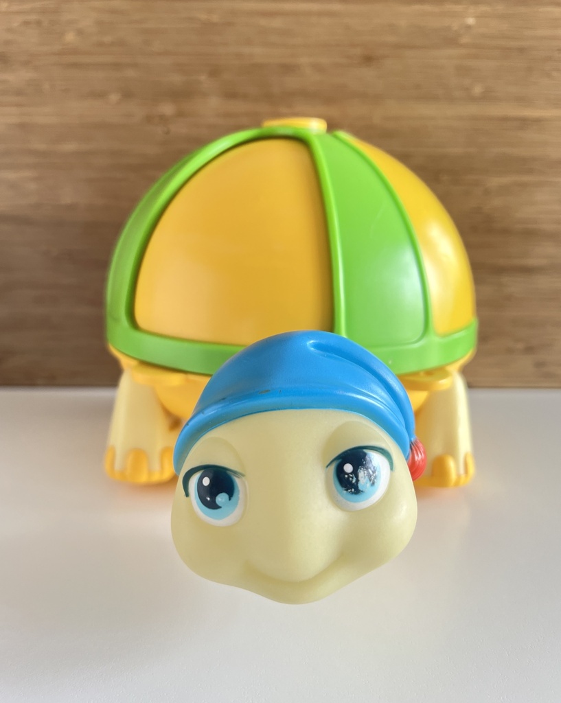 Luxi-Tortue et sa figurine Sauterelle Les Luxioles
