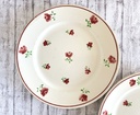 Lot de 2 assiettes plates Badonviller Mireille