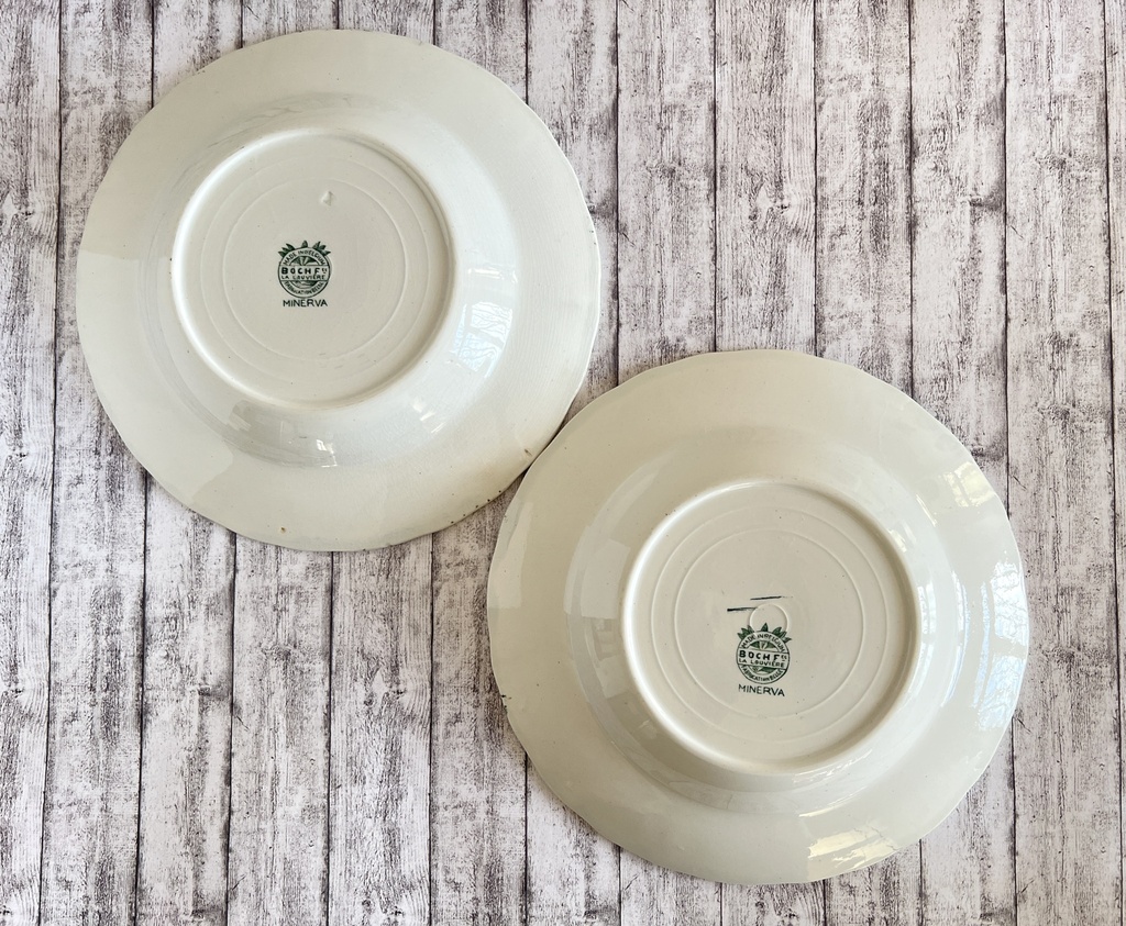 Lot de 2 assiettes creuses Boch Minerva vert