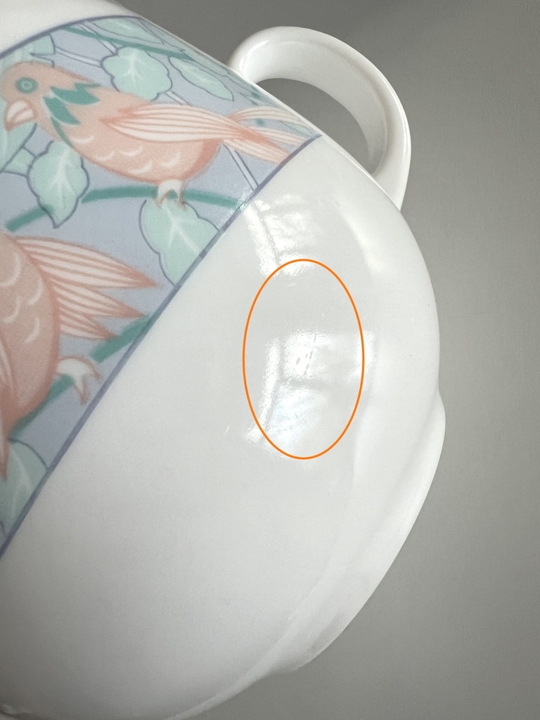 Grande tasse Arcopal Paradis