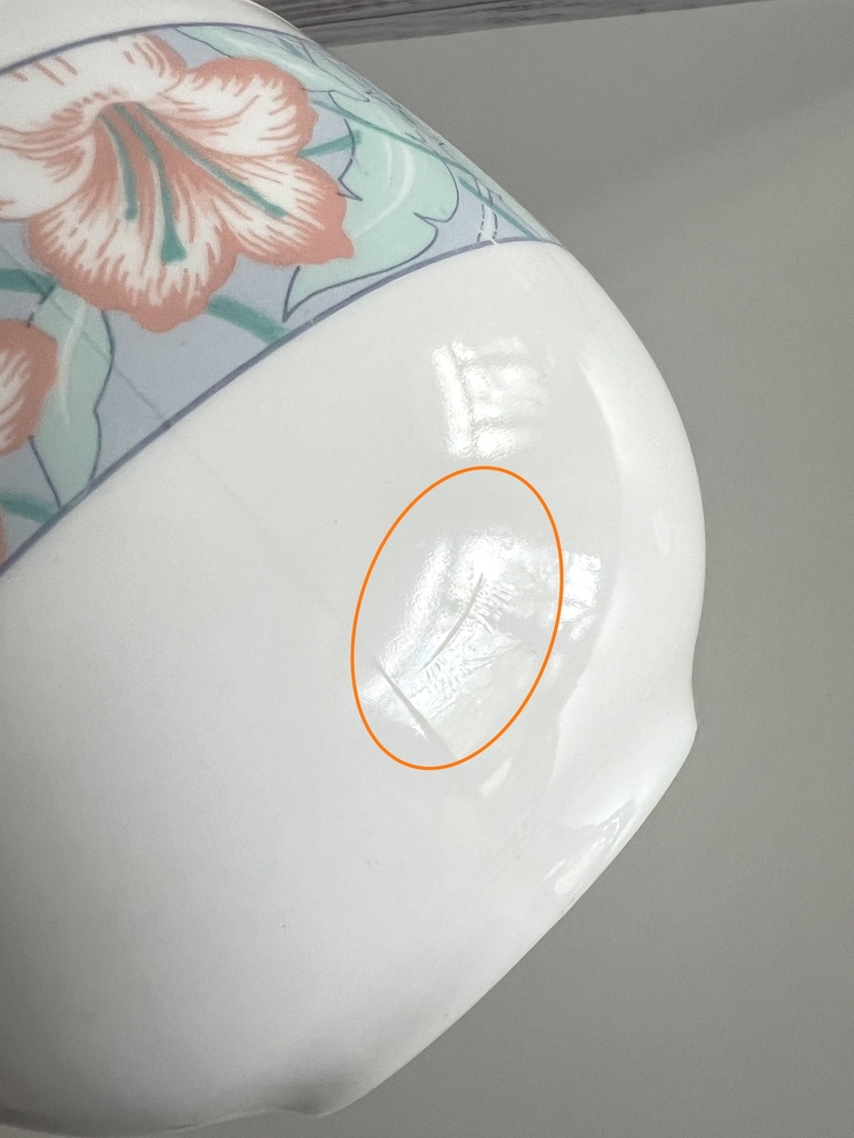 Grande tasse Arcopal Paradis