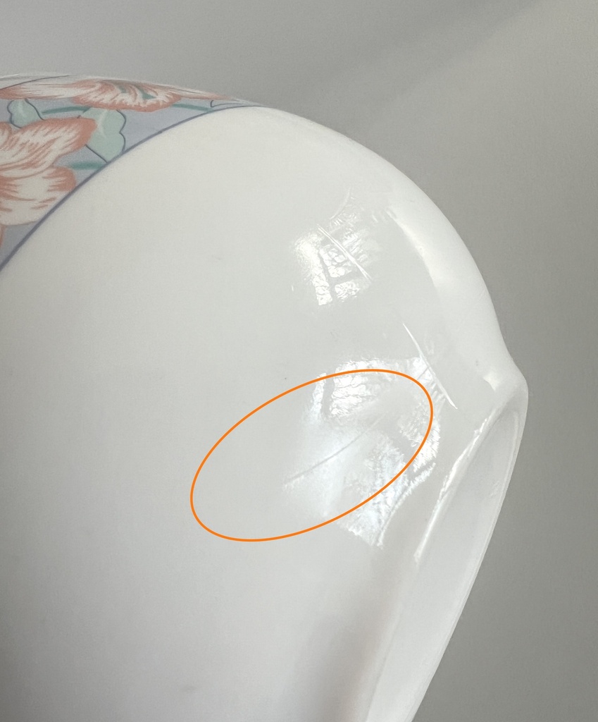 Grande tasse Arcopal Paradis